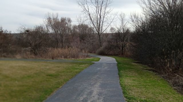 11555 Settlers Pond Way 1A, Orland Park, IL 60467