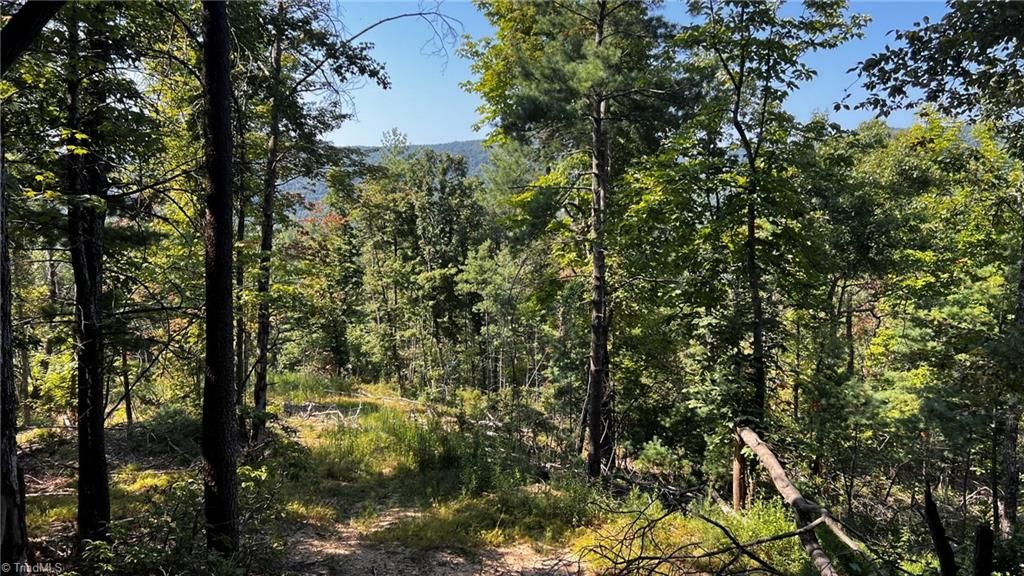 725 Caseys Branch Road, Purlear, NC 28665