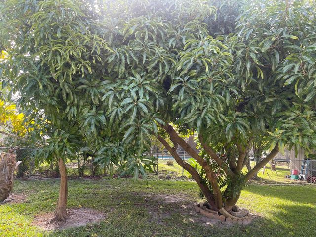 1072 SW Castaneda Lane, Port St. Lucie, Port St Lucie, FL 34953