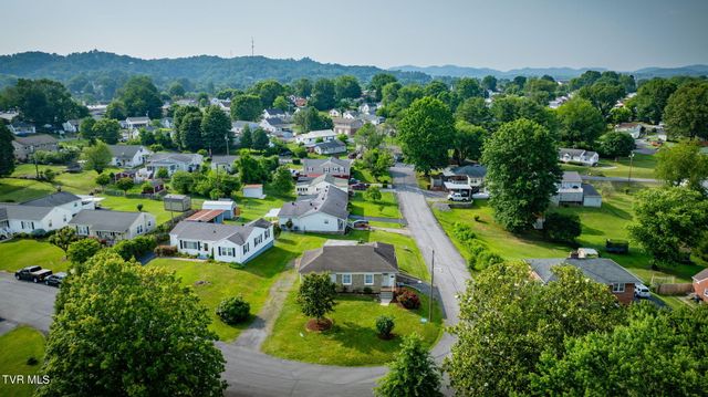 53 Tremont Place, Bristol, TN 37620