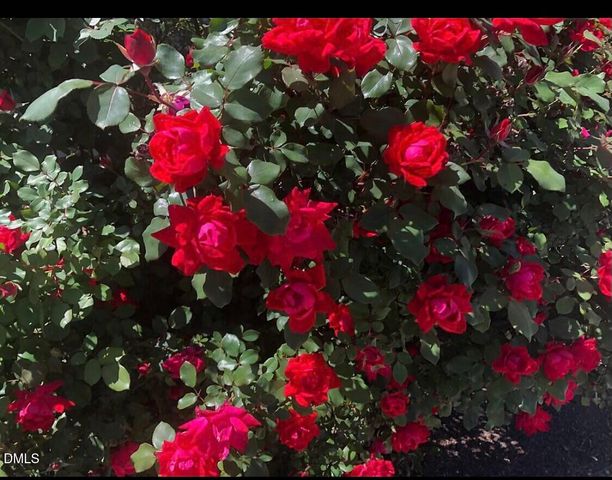 297 Hawkesburg Drive, Clayton, NC 27527