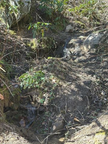 12 Chigger Ridge Road, Sylva, NC 28779