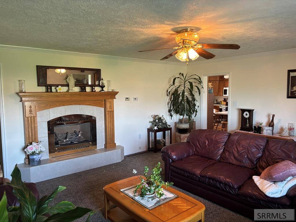 Image 13 of property listing at 194 N 3600 E, Rigby, ID 83442