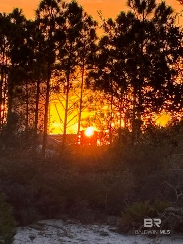 24101 Perdido Beach Boulevard 103-E, Orange Beach, AL 36561