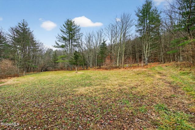 320 Shady Glen Road, Durham, NY 12423