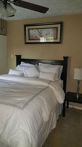 10555 Turtlewood Court 3005, Houston, TX 77072