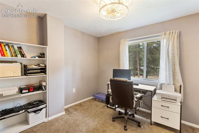 10 Ollie Court, Woodland Park, CO 80863