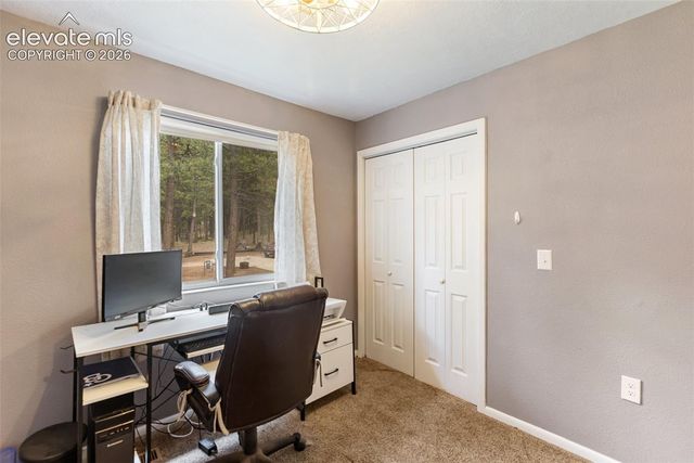 10 Ollie Court, Woodland Park, CO 80863