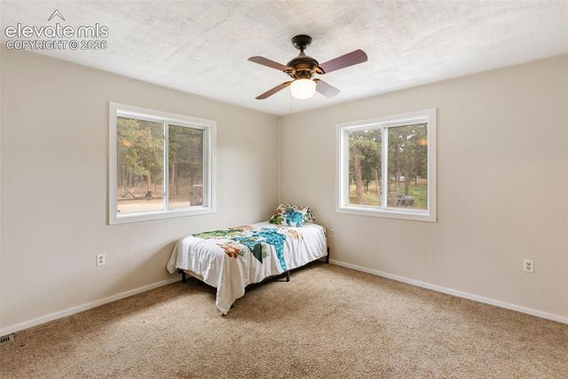 10 Ollie Court, Woodland Park, CO 80863