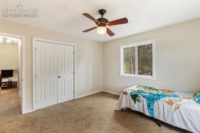 10 Ollie Court, Woodland Park, CO 80863