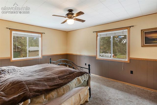 10 Ollie Court, Woodland Park, CO 80863