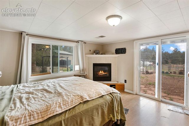 10 Ollie Court, Woodland Park, CO 80863