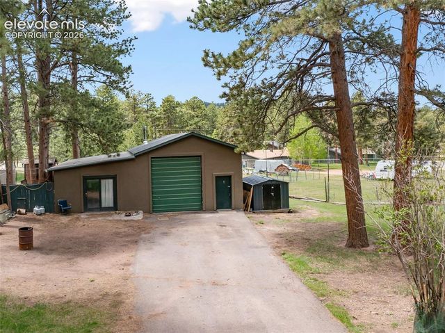 10 Ollie Court, Woodland Park, CO 80863