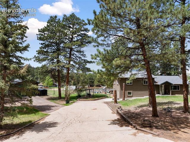 10 Ollie Court, Woodland Park, CO 80863