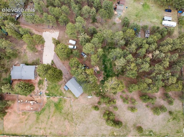 10 Ollie Court, Woodland Park, CO 80863