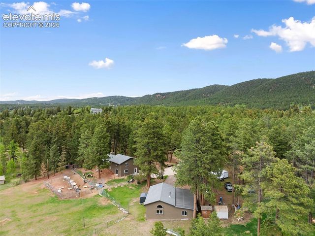 10 Ollie Court, Woodland Park, CO 80863