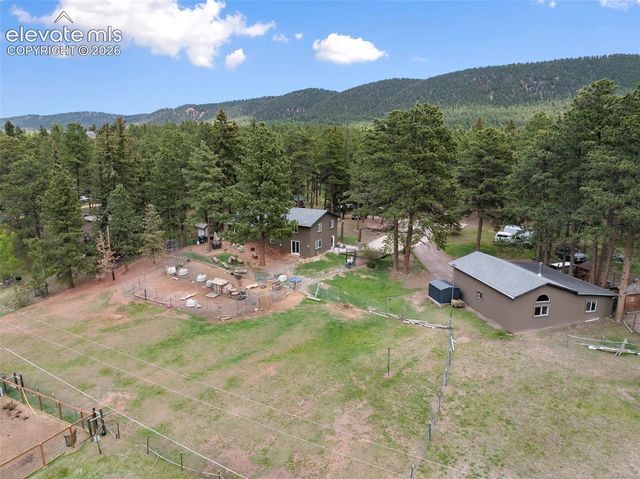 10 Ollie Court, Woodland Park, CO 80863
