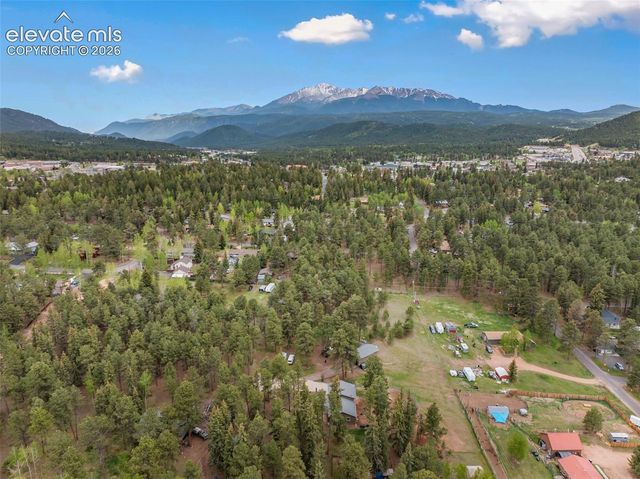 10 Ollie Court, Woodland Park, CO 80863