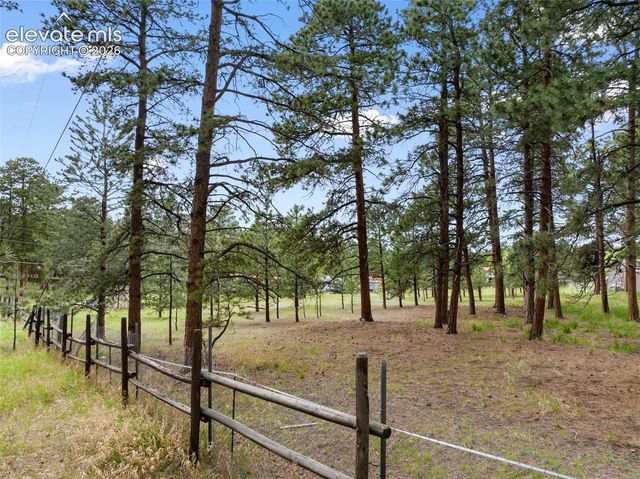 10 Ollie Court, Woodland Park, CO 80863