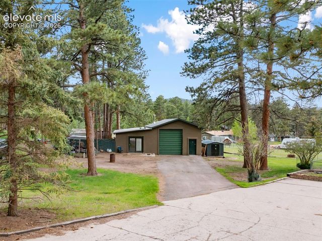 10 Ollie Court, Woodland Park, CO 80863