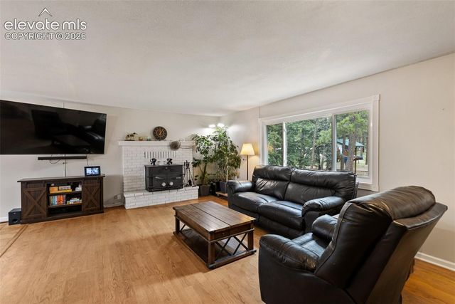 10 Ollie Court, Woodland Park, CO 80863