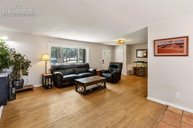 10 Ollie Court, Woodland Park, CO 80863