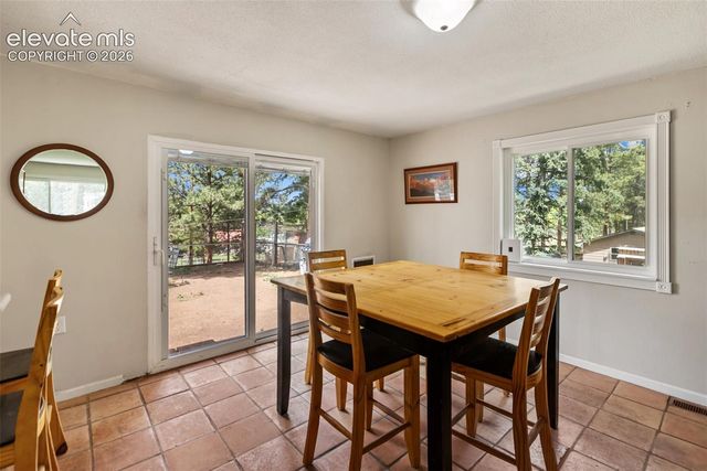 10 Ollie Court, Woodland Park, CO 80863