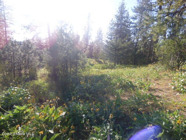 8497 W HIGHLAND DR, Coeur D'alene, ID 83814