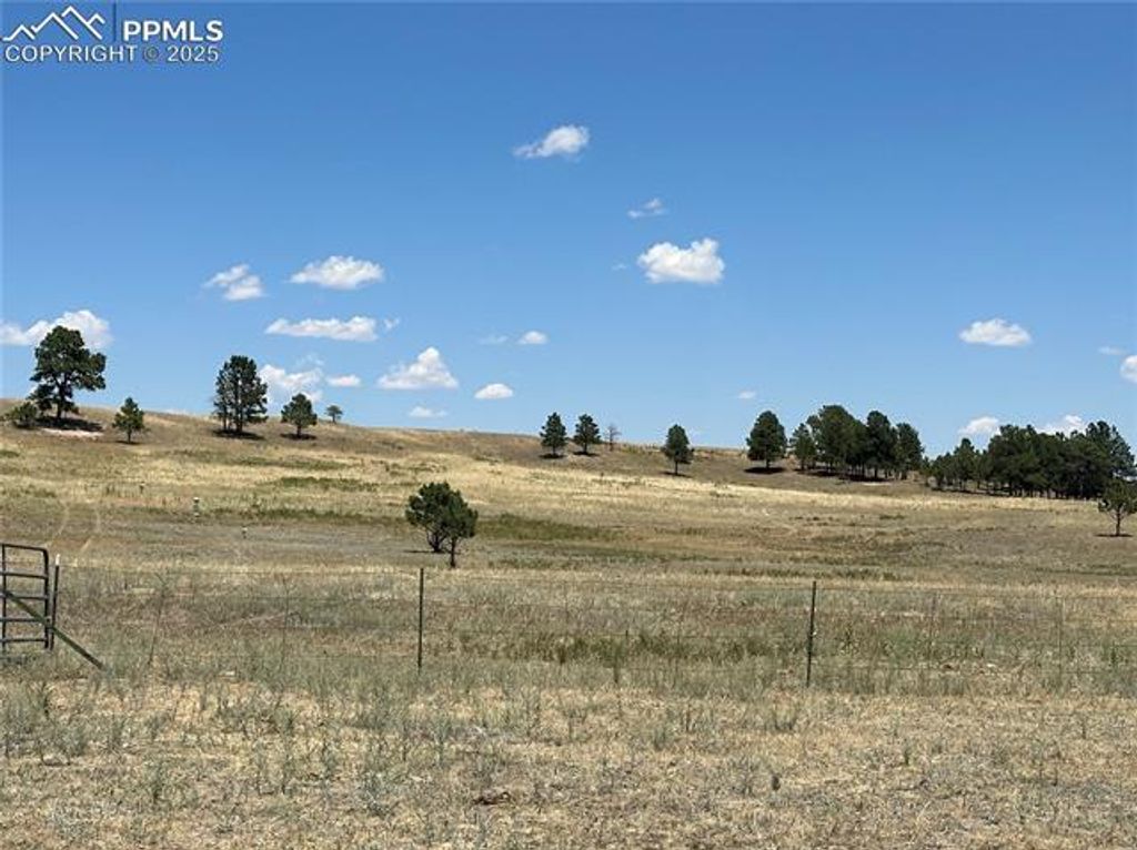 Goodson Road, Peyton, CO 80831 — photo 4