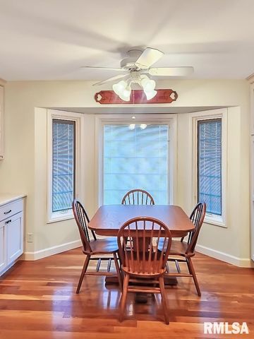 2520 W KAYLIE Court, Peoria, IL 61615