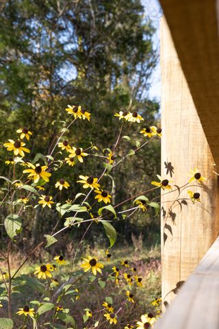 499 Tallent Rd, Pulaski, TN 38478