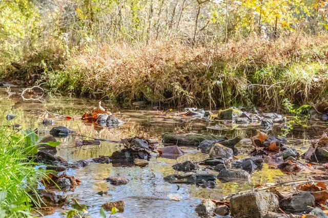 499 Tallent Rd, Pulaski, TN 38478