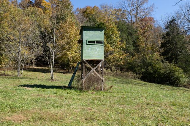 499 Tallent Rd, Pulaski, TN 38478