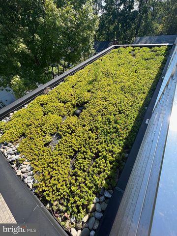 2318 N RICHMOND ST, Arlington, VA 22207