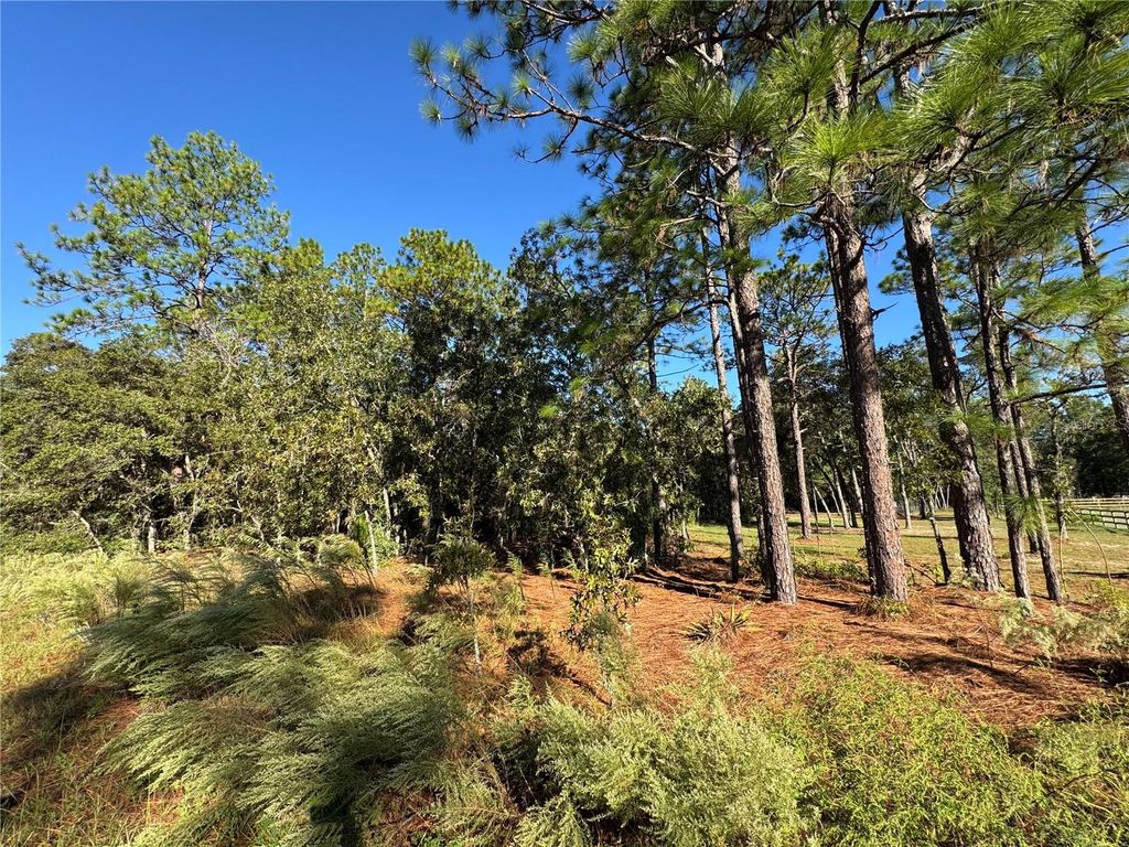 12351 SW 67TH LANE, Ocala, FL 34481