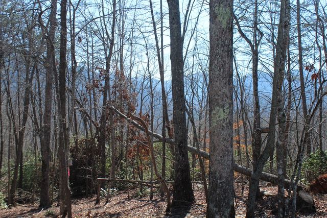 1017 Laurel Branch Road, Hayesville, NC 28904