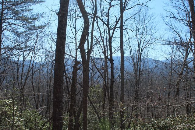 1017 Laurel Branch Road, Hayesville, NC 28904