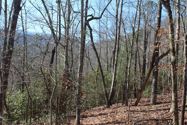 1017 Laurel Branch Road, Hayesville, NC 28904