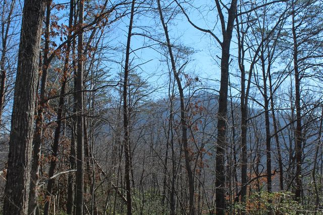 1017 Laurel Branch Road, Hayesville, NC 28904