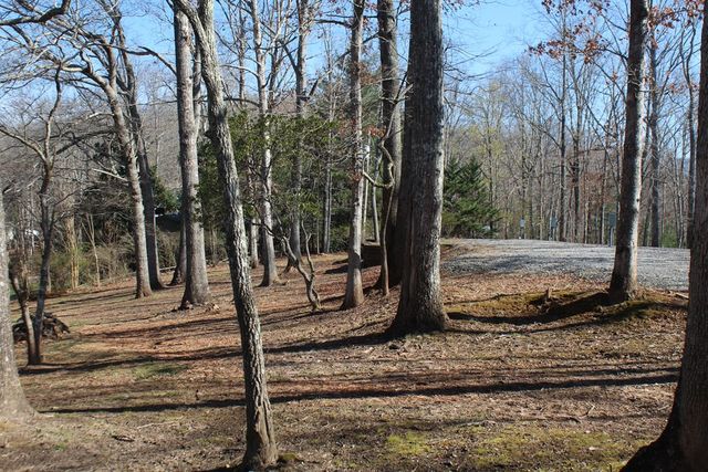 1017 Laurel Branch Road, Hayesville, NC 28904