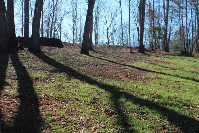 1017 Laurel Branch Road, Hayesville, NC 28904