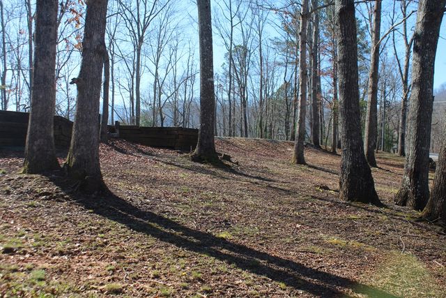 1017 Laurel Branch Road, Hayesville, NC 28904