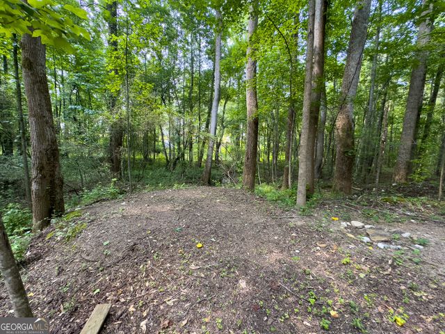 0 Howard Road, Senoia, GA 30276