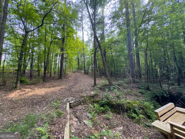 0 Howard Road, Senoia, GA 30276