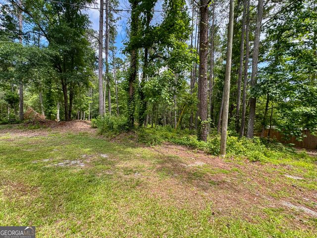 0 Howard Road, Senoia, GA 30276