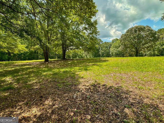 0 Howard Road, Senoia, GA 30276