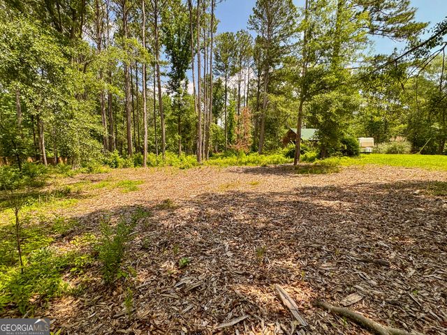 0 Howard Road, Senoia, GA 30276