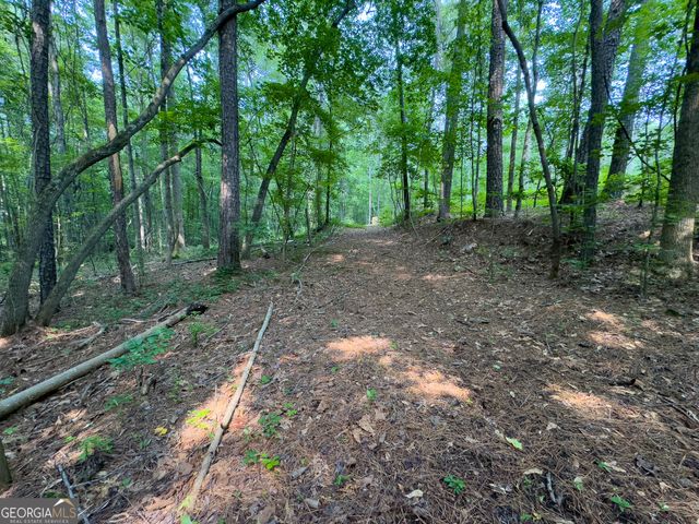 0 Howard Road, Senoia, GA 30276