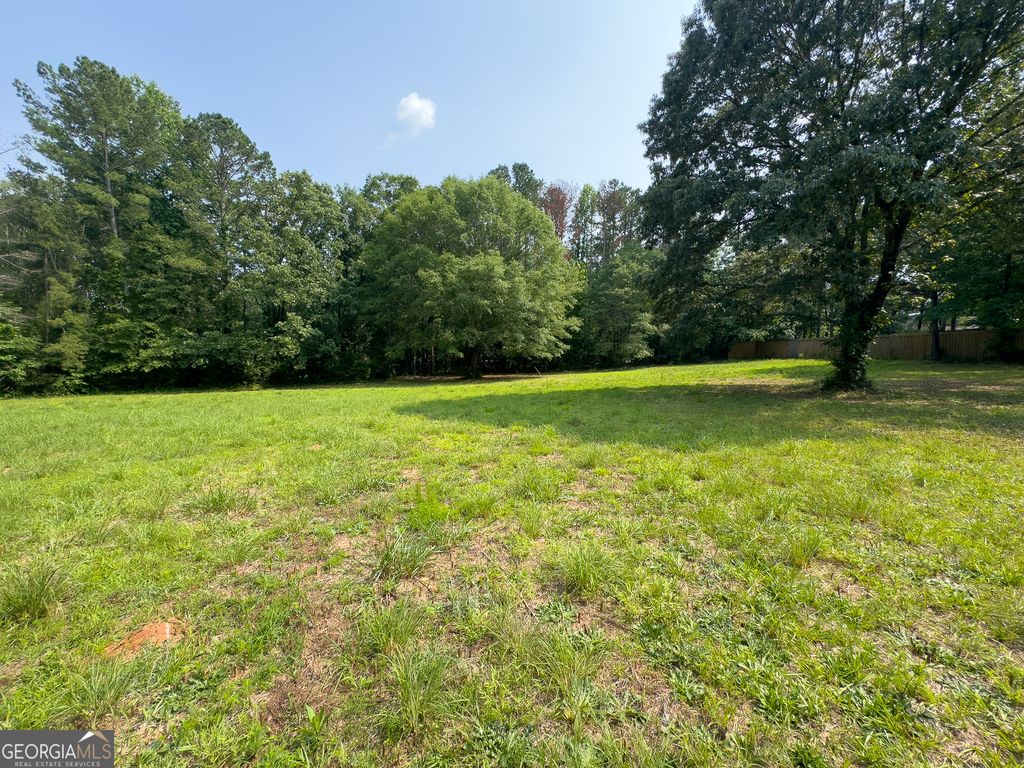 0 Howard Road, Senoia, GA 30276