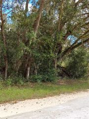 0 NORWAY STREET, Webster, FL 33597